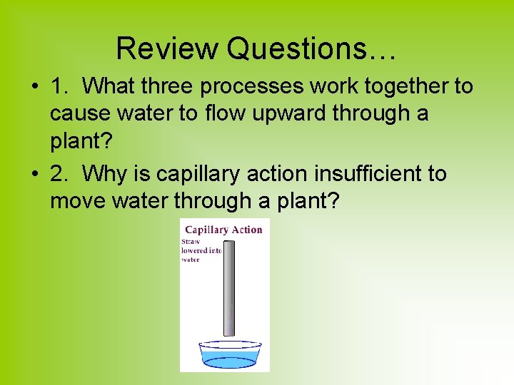 Review Questions… • 1. What three processes work together to cause water to flow