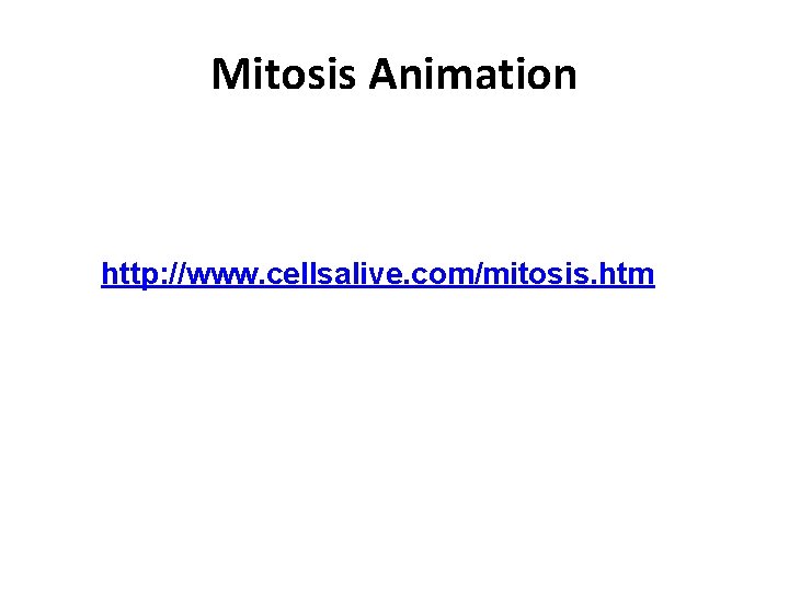 Mitosis Animation http: //www. cellsalive. com/mitosis. htm 