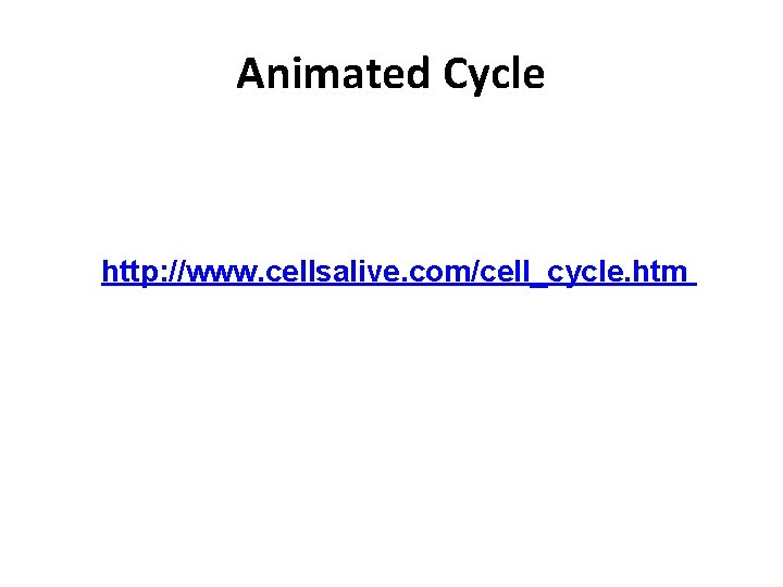 Animated Cycle http: //www. cellsalive. com/cell_cycle. htm 