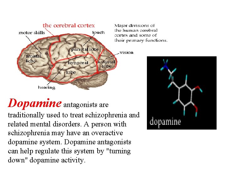 Dopamine antagonists are traditionally used to treat schizophrenia and related mental disorders. A person Dopamine antagonists are traditionally used to treat schizophrenia and related mental disorders. A person
