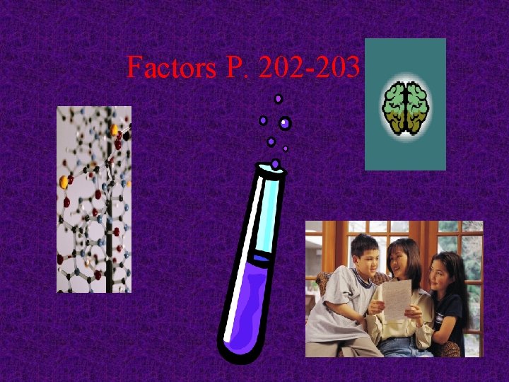 Factors P. 202 -203 Factors P. 202 -203