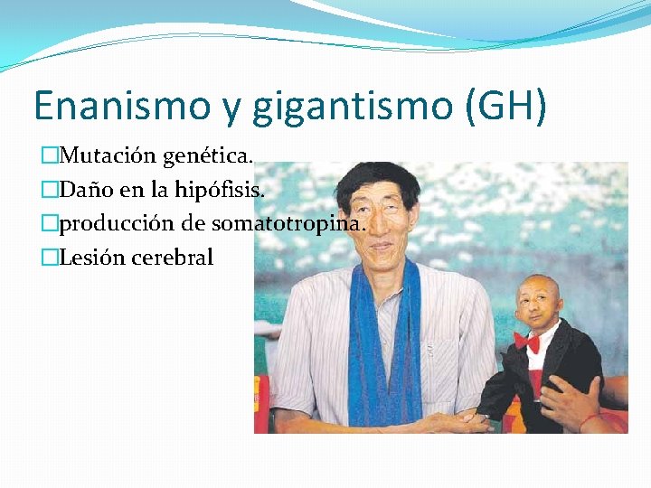 Enanismo y gigantismo (GH) �Mutación genética. �Daño en la hipófisis. �producción de somatotropina. �Lesión