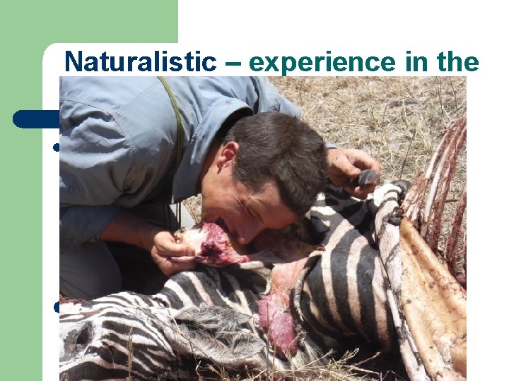 Naturalistic – experience in the natural world l People who are sensitive to changes