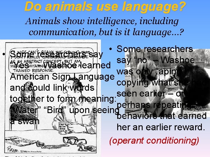 Do animals use language? Animals show intelligence, including communication, but is it language…? •
