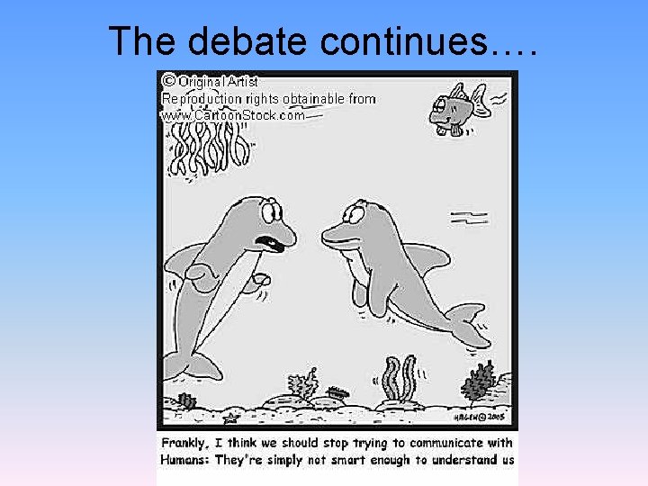 The debate continues…. 