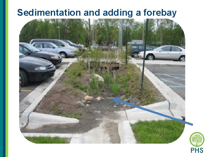 Sedimentation and adding a forebay 