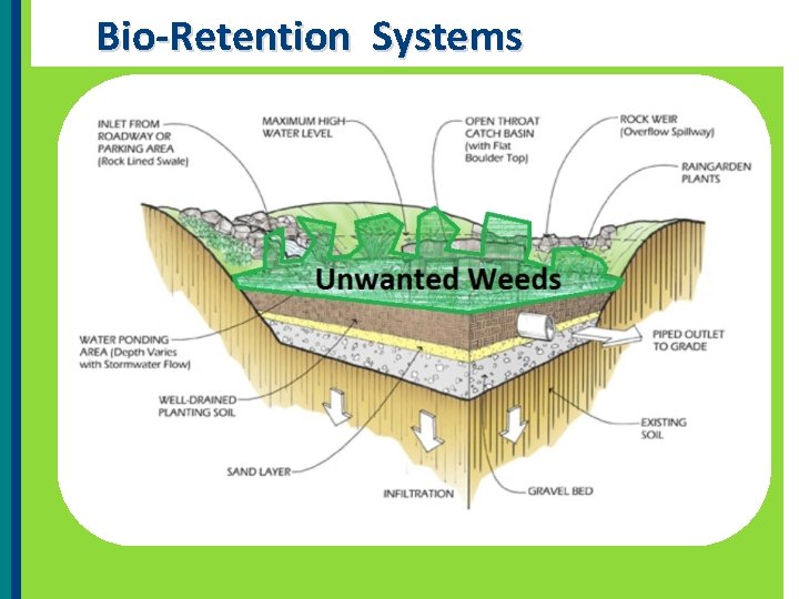 Bio-Retention Systems 
