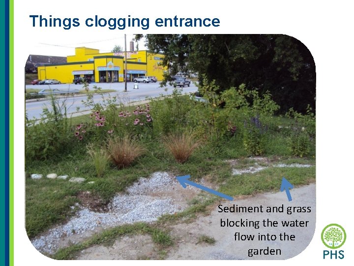 Things clogging entrance Grass blocking entrance Sediment and grass blocking the water flow into