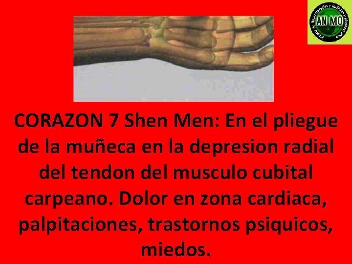 CORAZON 7 Shen Men: En el pliegue de la muñeca en la depresion radial