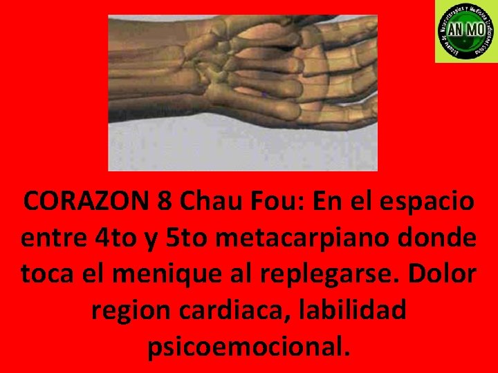 CORAZON 8 Chau Fou: En el espacio entre 4 to y 5 to metacarpiano