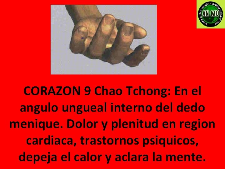 CORAZON 9 Chao Tchong: En el angulo ungueal interno del dedo menique. Dolor y