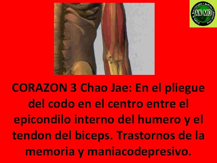 CORAZON 3 Chao Jae: En el pliegue del codo en el centro entre el