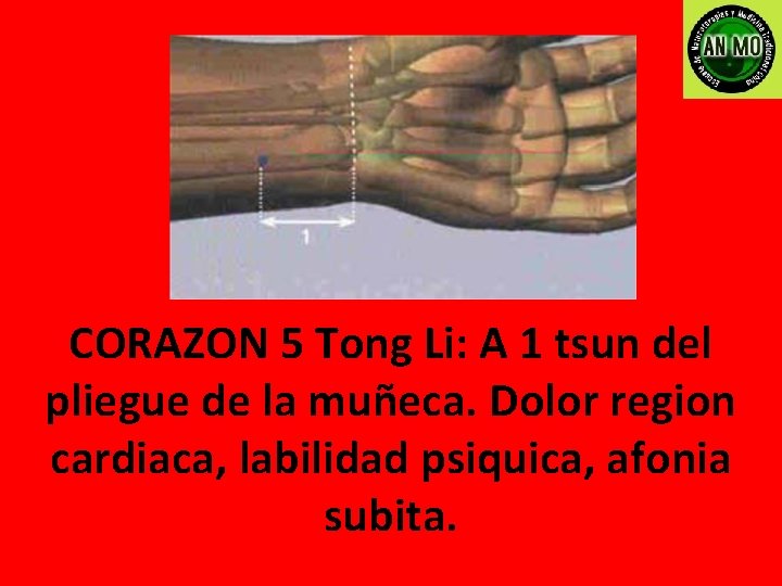 CORAZON 5 Tong Li: A 1 tsun del pliegue de la muñeca. Dolor region