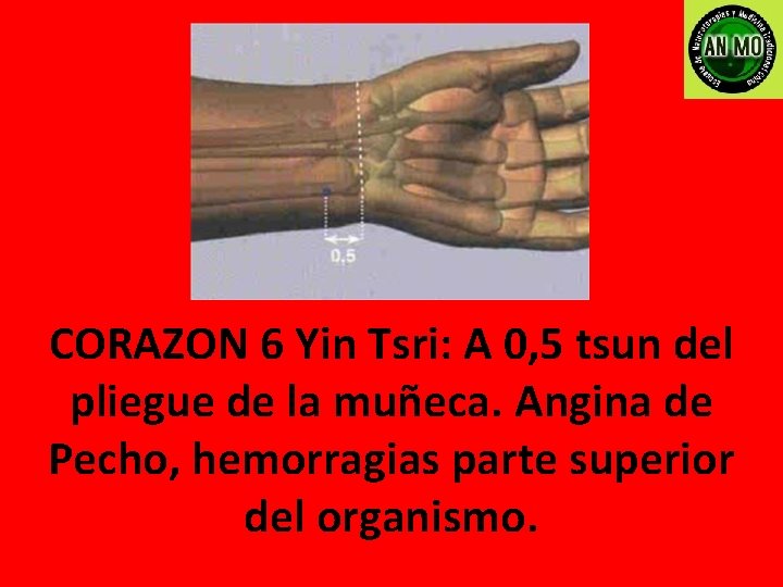 CORAZON 6 Yin Tsri: A 0, 5 tsun del pliegue de la muñeca. Angina