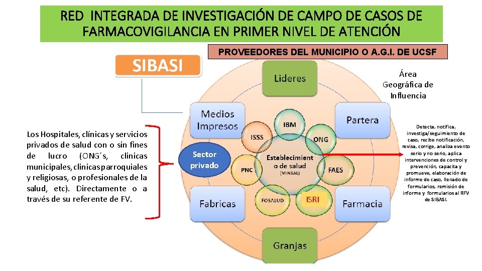 RED INTEGRADA DE INVESTIGACIÓN DE CAMPO DE CASOS DE FARMACOVIGILANCIA EN PRIMER NIVEL DE