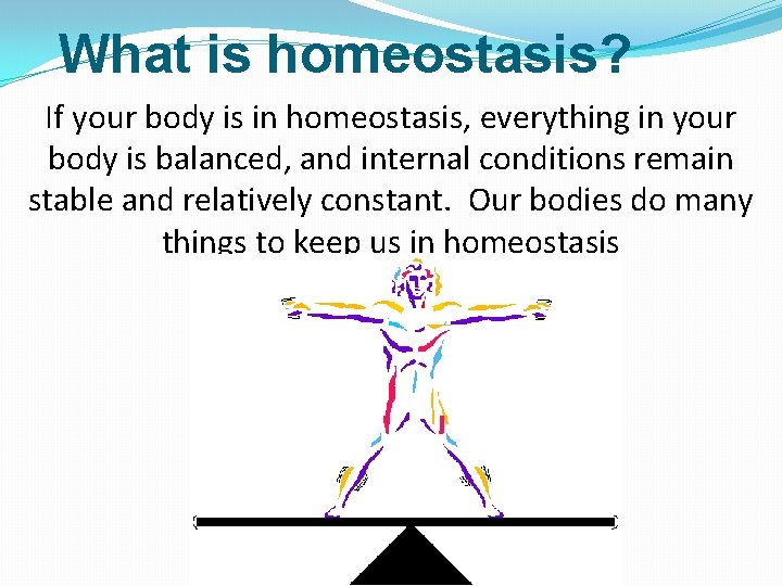 What is homeostasis? If your body is in homeostasis, everything in your body is