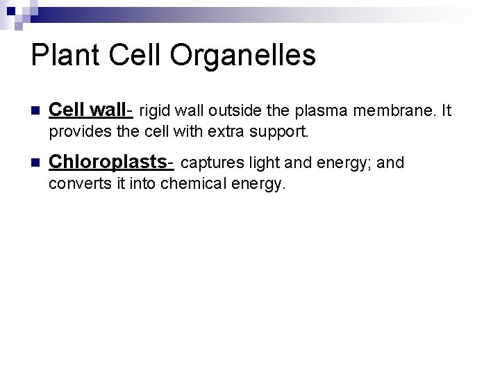 Plant Cell Organelles n Cell wall- rigid wall outside the plasma membrane. It provides