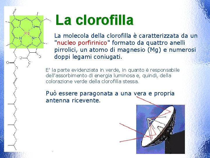 La clorofilla La molecola della clorofilla è caratterizzata da un "nucleo porfirinico" formato da