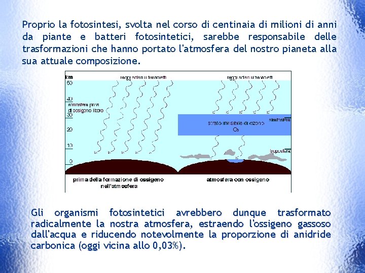 Proprio la fotosintesi, svolta nel corso di centinaia di milioni di anni da piante