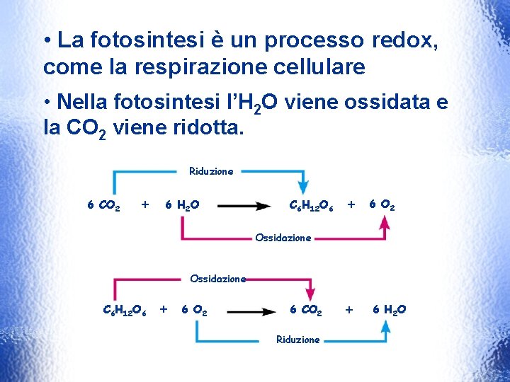  • La fotosintesi è un processo redox, come la respirazione cellulare • Nella