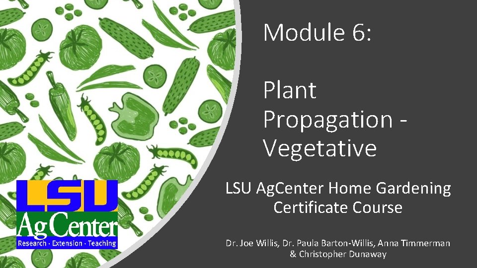 Module 6: Plant Propagation Vegetative LSU Ag. Center Home Gardening Certificate Course Dr. Joe Module 6: Plant Propagation Vegetative LSU Ag. Center Home Gardening Certificate Course Dr. Joe