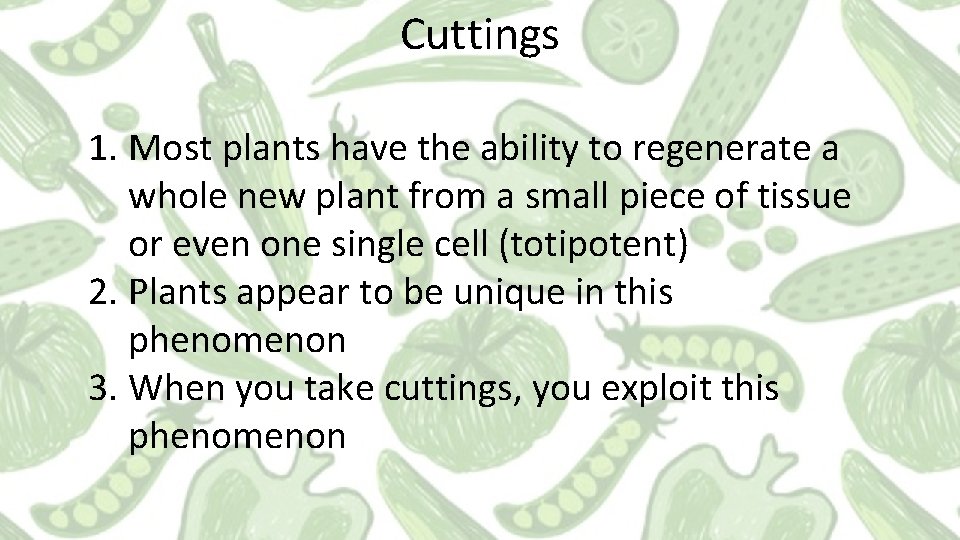 Cuttings 1. Most plants have the ability to regenerate a whole new plant from
