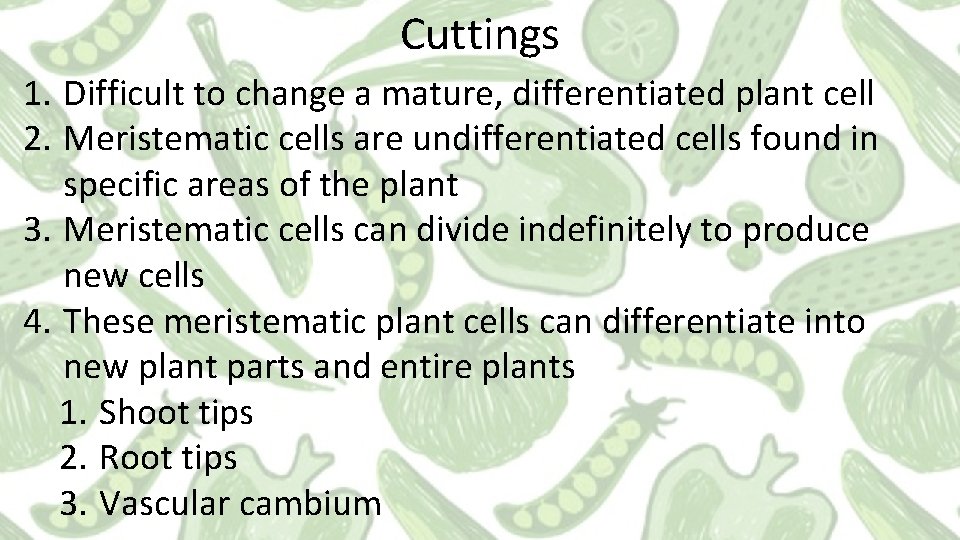 Cuttings 1. Difficult to change a mature, differentiated plant cell 2. Meristematic cells are Cuttings 1. Difficult to change a mature, differentiated plant cell 2. Meristematic cells are