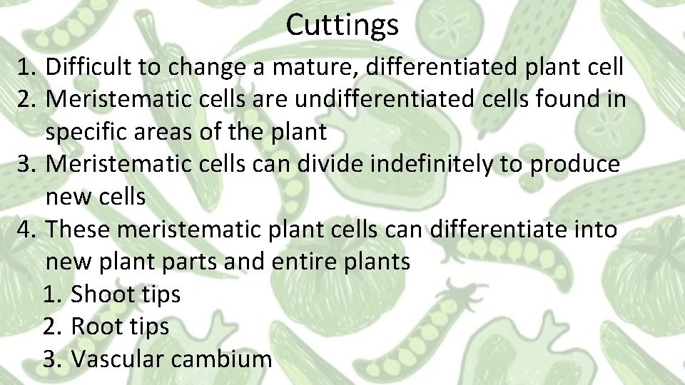 Cuttings 1. Difficult to change a mature, differentiated plant cell 2. Meristematic cells are
