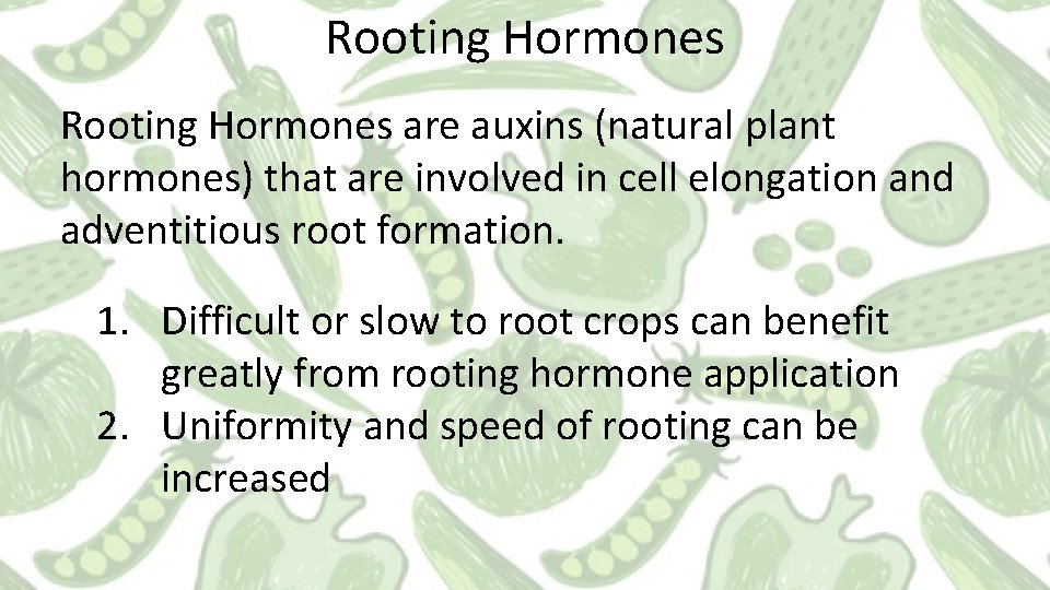 Rooting Hormones are auxins (natural plant hormones) that are involved in cell elongation and Rooting Hormones are auxins (natural plant hormones) that are involved in cell elongation and