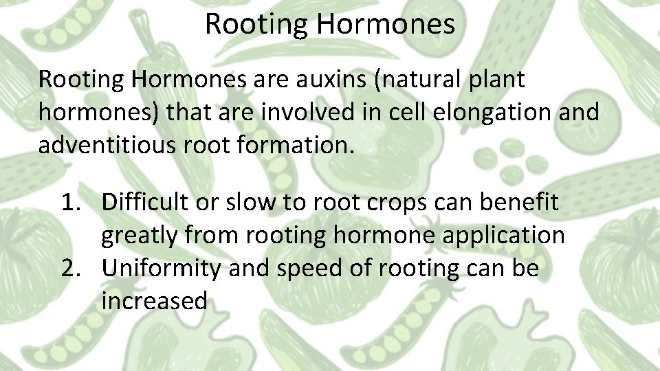 Rooting Hormones are auxins (natural plant hormones) that are involved in cell elongation and