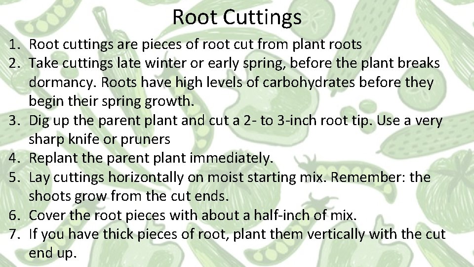 Root Cuttings 1. Root cuttings are pieces of root cut from plant roots 2.