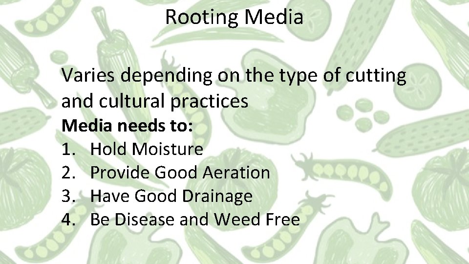 Rooting Media Varies depending on the type of cutting and cultural practices Media needs Rooting Media Varies depending on the type of cutting and cultural practices Media needs