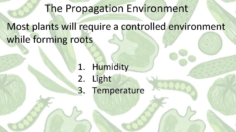 The Propagation Environment Most plants will require a controlled environment while forming roots 1.