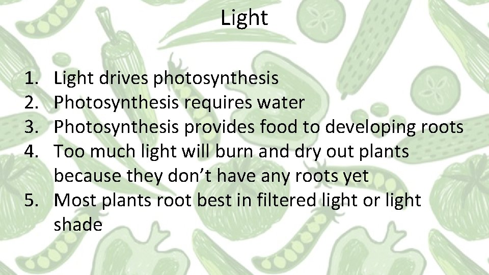Light 1. 2. 3. 4. Light drives photosynthesis Photosynthesis requires water Photosynthesis provides food Light 1. 2. 3. 4. Light drives photosynthesis Photosynthesis requires water Photosynthesis provides food
