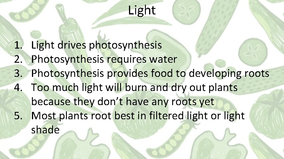 Light 1. 2. 3. 4. Light drives photosynthesis Photosynthesis requires water Photosynthesis provides food