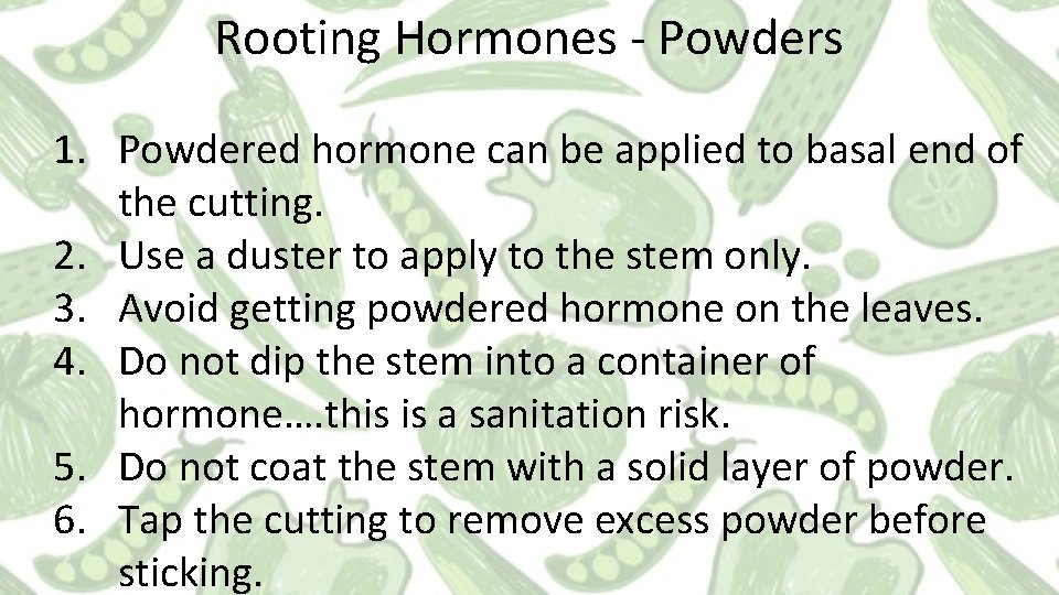 Rooting Hormones - Powders 1. Powdered hormone can be applied to basal end of Rooting Hormones - Powders 1. Powdered hormone can be applied to basal end of