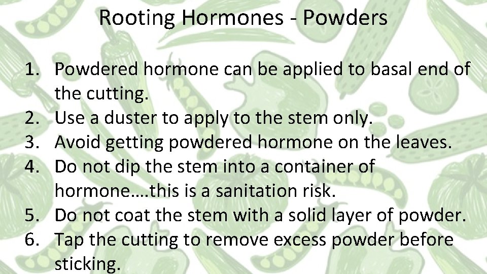 Rooting Hormones - Powders 1. Powdered hormone can be applied to basal end of