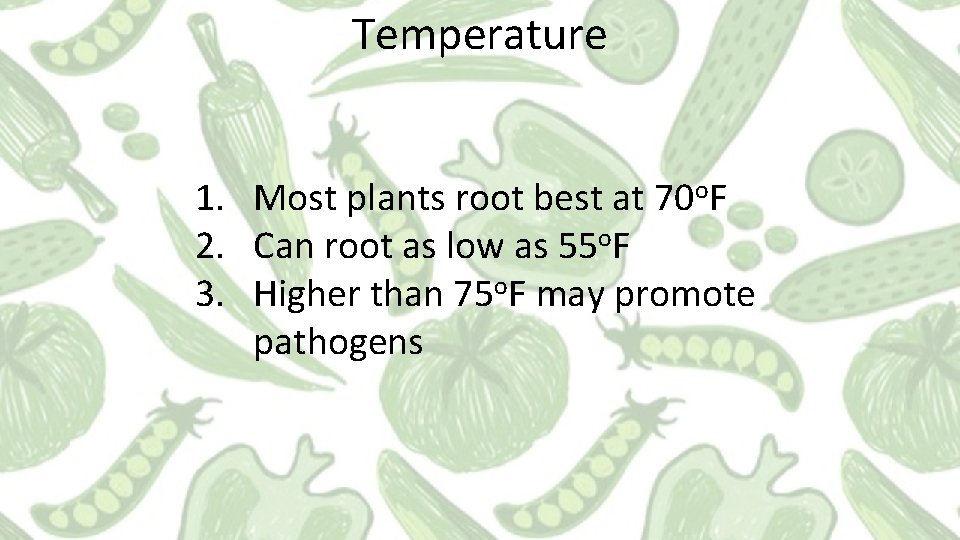Temperature 1. Most plants root best at 70 o. F 2. Can root as