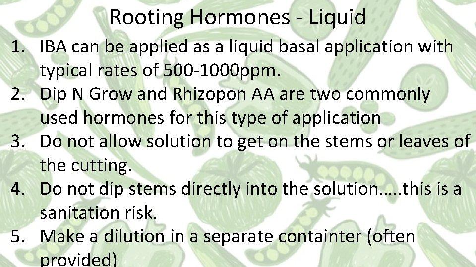 Rooting Hormones - Liquid 1. IBA can be applied as a liquid basal application