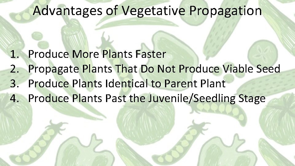 Advantages of Vegetative Propagation 1. 2. 3. 4. Produce More Plants Faster Propagate Plants Advantages of Vegetative Propagation 1. 2. 3. 4. Produce More Plants Faster Propagate Plants
