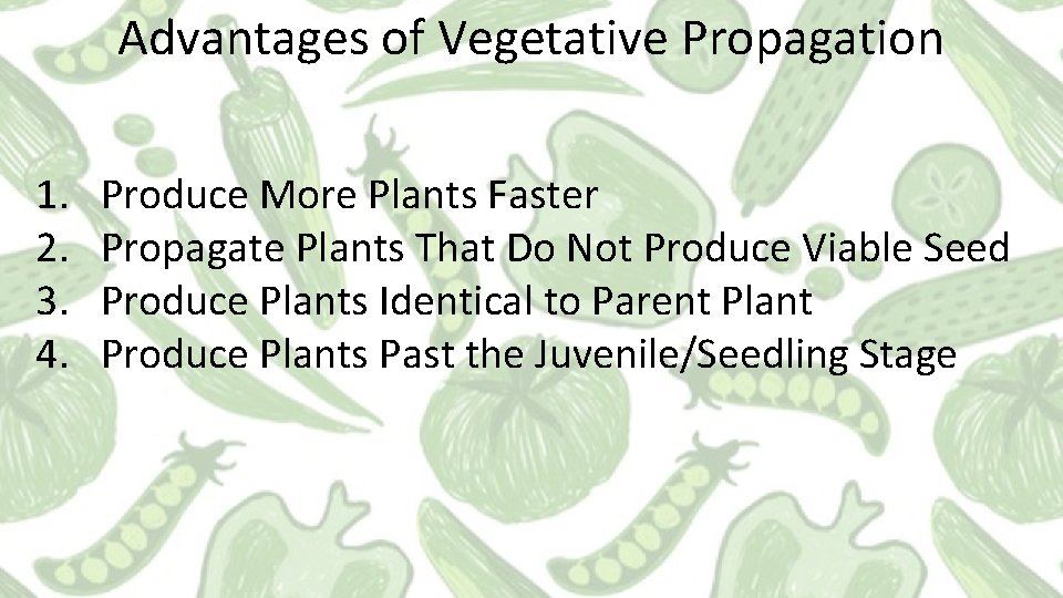 Advantages of Vegetative Propagation 1. 2. 3. 4. Produce More Plants Faster Propagate Plants