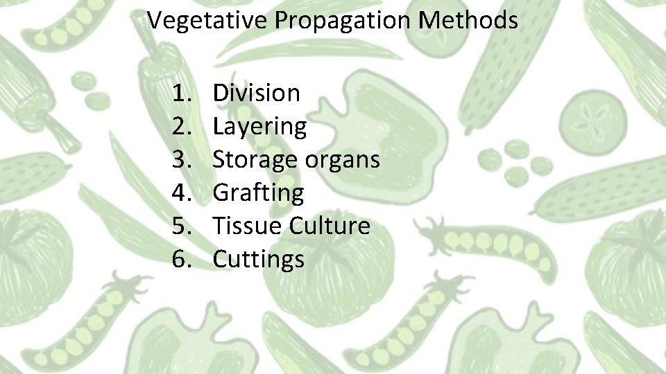 Vegetative Propagation Methods 1. 2. 3. 4. 5. 6. Division Layering Storage organs Grafting