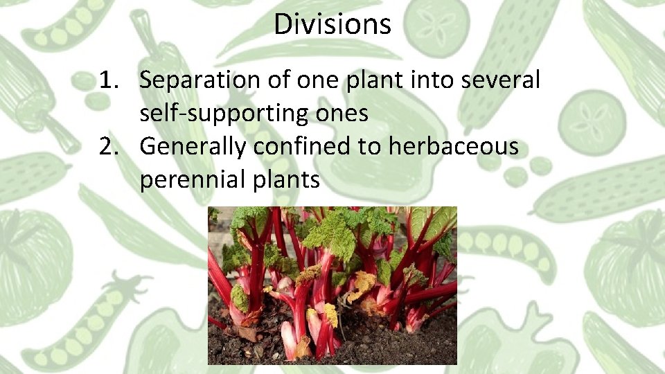 Divisions 1. Separation of one plant into several self-supporting ones 2. Generally confined to Divisions 1. Separation of one plant into several self-supporting ones 2. Generally confined to