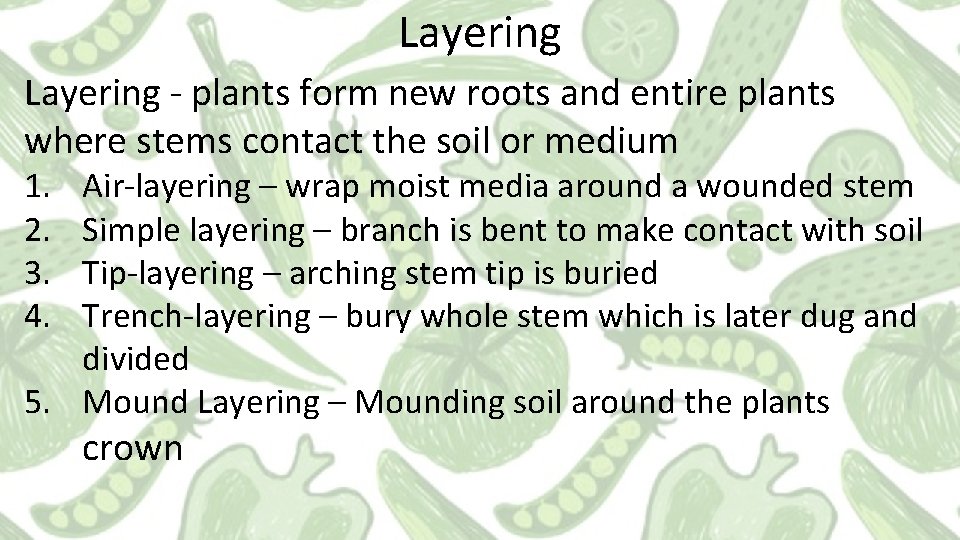 Layering - plants form new roots and entire plants where stems contact the soil Layering - plants form new roots and entire plants where stems contact the soil