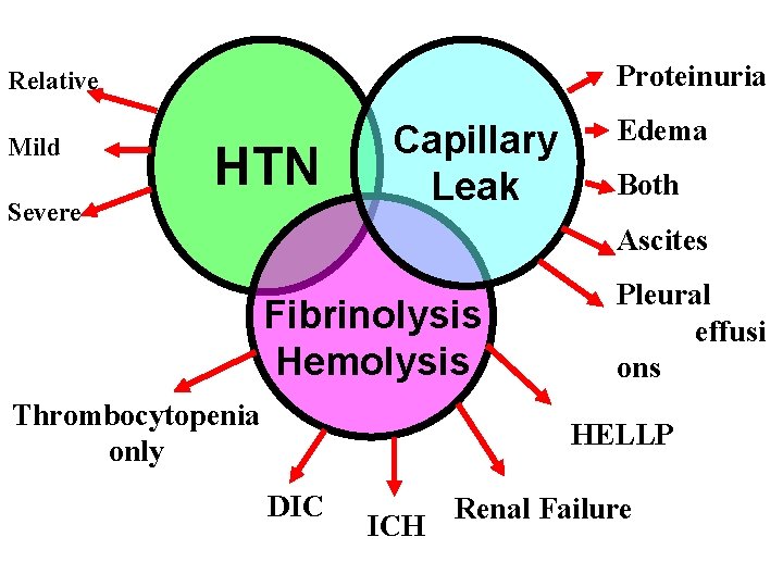 Proteinuria Relative Mild HTN Severe Capillary Leak Edema Both Ascites Fibrinolysis Hemolysis Thrombocytopenia only