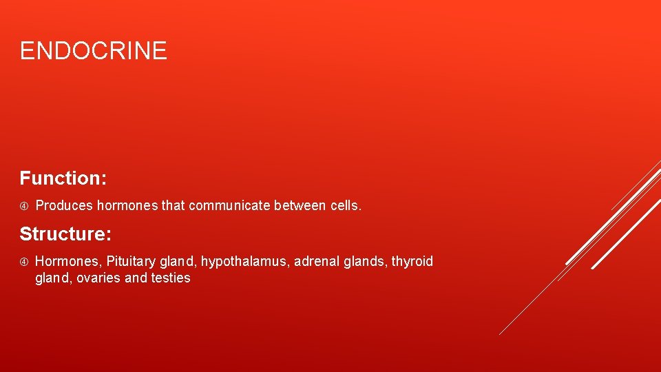 ENDOCRINE Function: Produces hormones that communicate between cells. Structure: Hormones, Pituitary gland, hypothalamus, adrenal