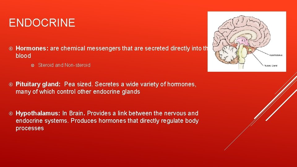 ENDOCRINE Hormones: are chemical messengers that are secreted directly into the blood Steroid and