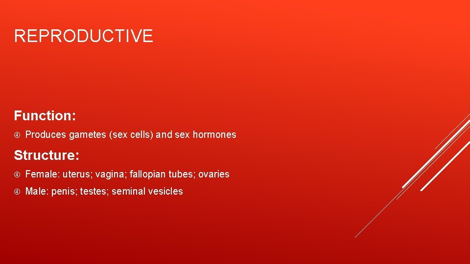 REPRODUCTIVE Function: Produces gametes (sex cells) and sex hormones Structure: Female: uterus; vagina; fallopian
