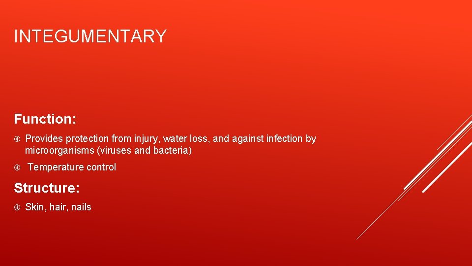 INTEGUMENTARY Function: Provides protection from injury, water loss, and against infection by microorganisms (viruses