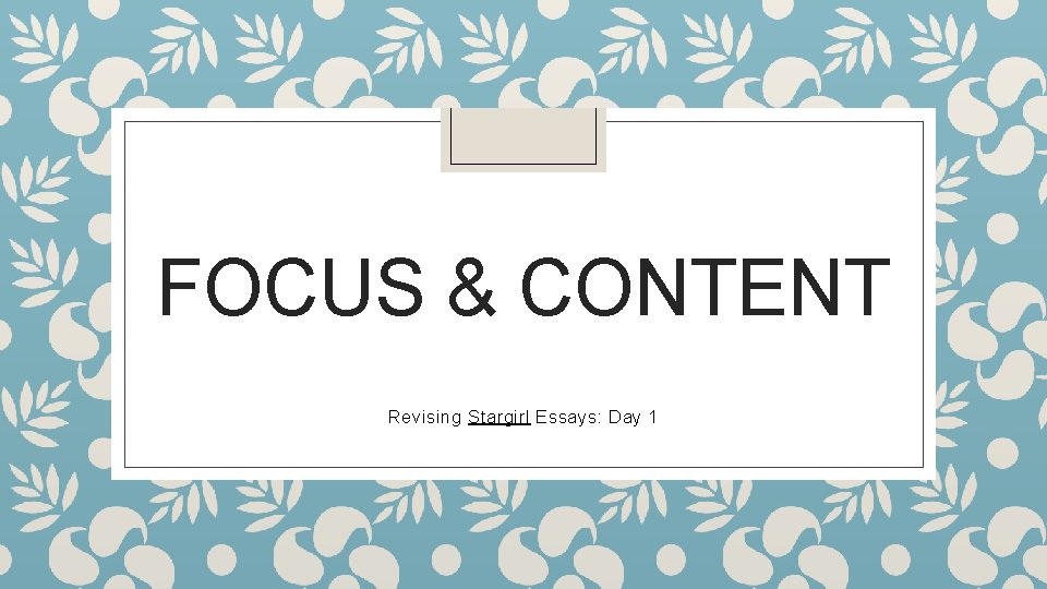 FOCUS & CONTENT Revising Stargirl Essays: Day 1 